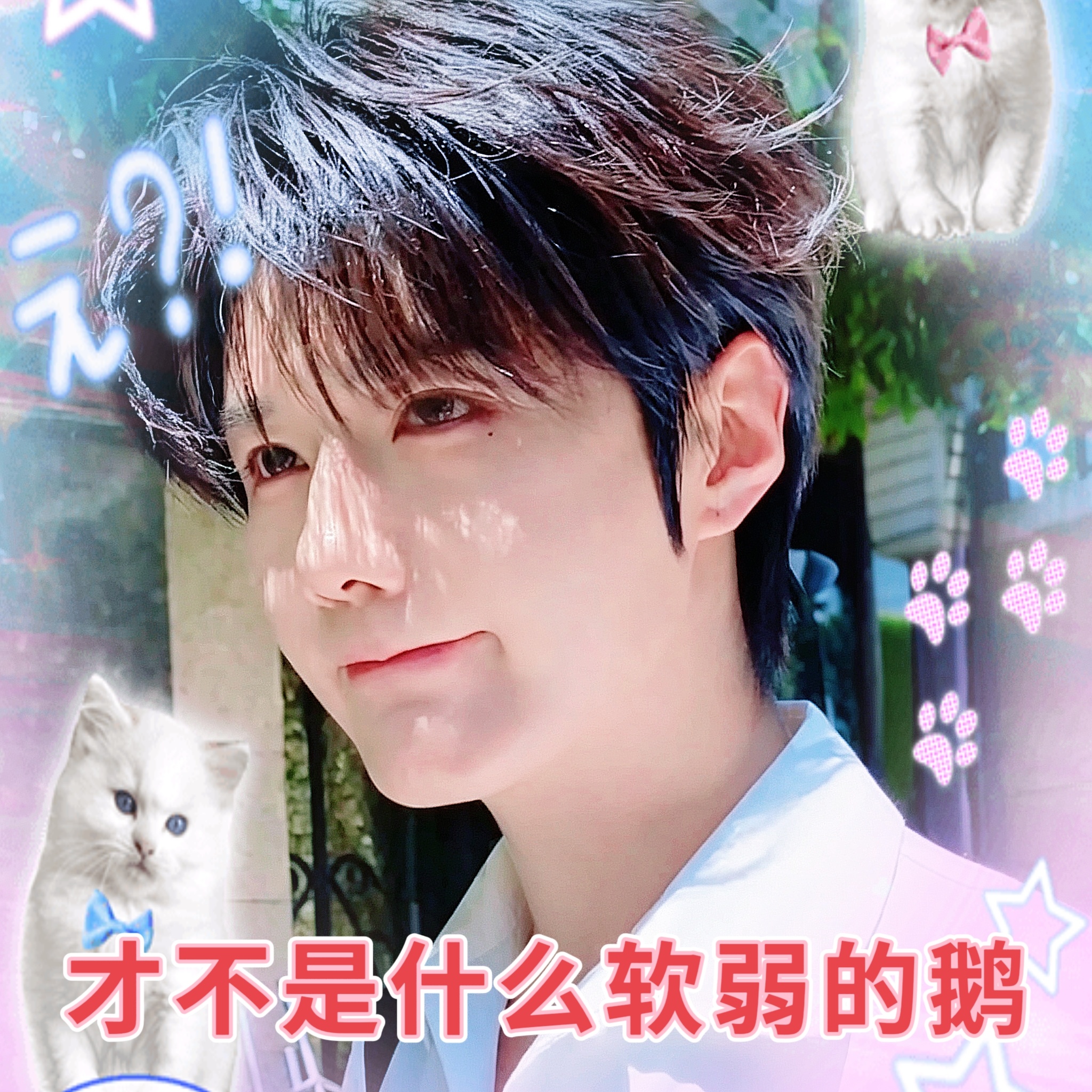 才不是什么软弱的鹅！🥺 