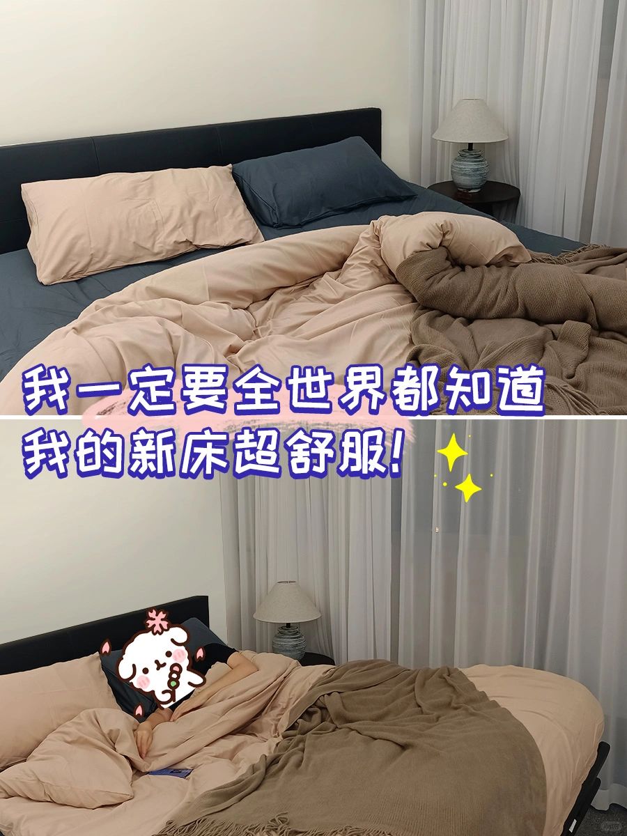 任何人不知道菠萝斑马我都会伤心的ok？