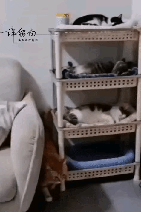 豆腐渣工程啊[捂脸]