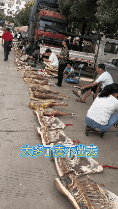 到北方来卖吧！
应该比你们南方那里好卖！[泣不成声]