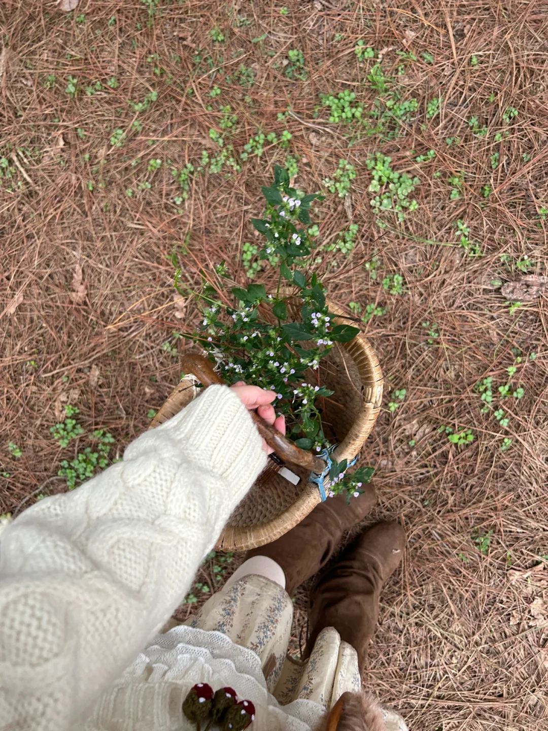 我们面朝湖面生了篝火