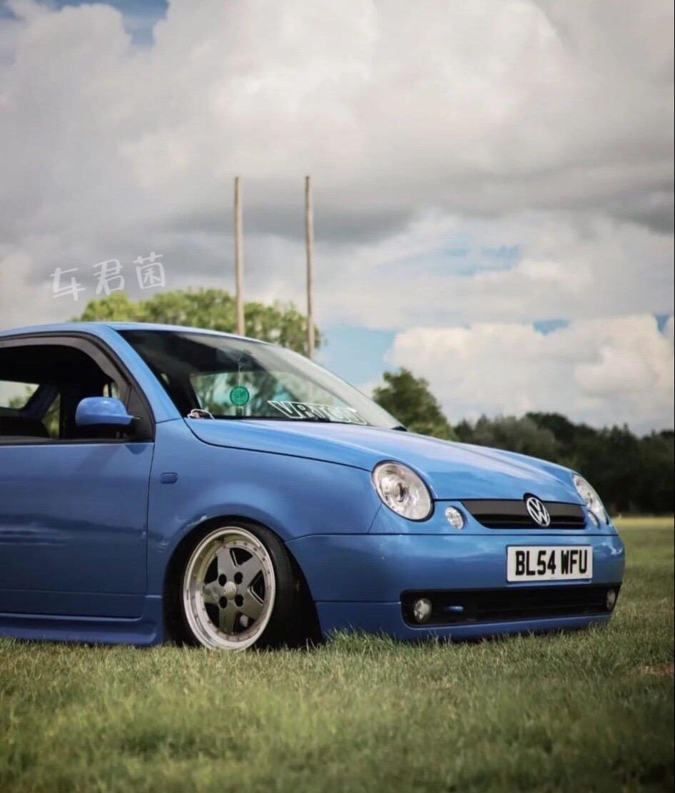 POLO❌LUPO✔️。