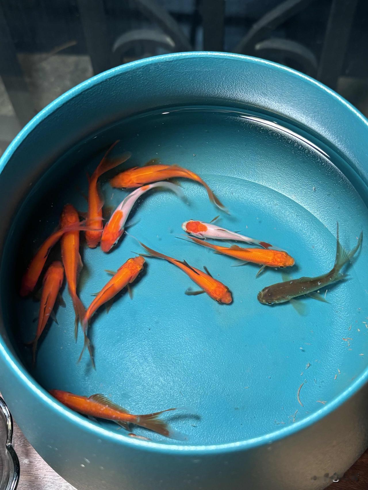 查理·芒格：最好的活法，是把简单的事情重复一辈子！

在这个充满了“更多、更快、