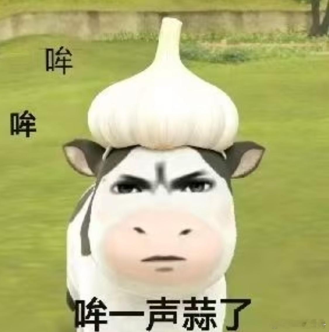 回到学校又失去发微博的欲望了[无聊] ​​​
