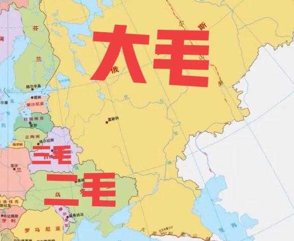 大毛：二毛找外人帮忙，三毛，上手吧！
三毛：我是支持你的，但是，我看看再说！
二
