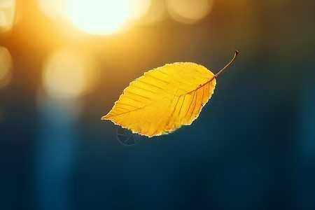 我给舅舅拜年，舅舅说不能在他家吃饭，得知原因后我很难过。

每年的大年初四我都会