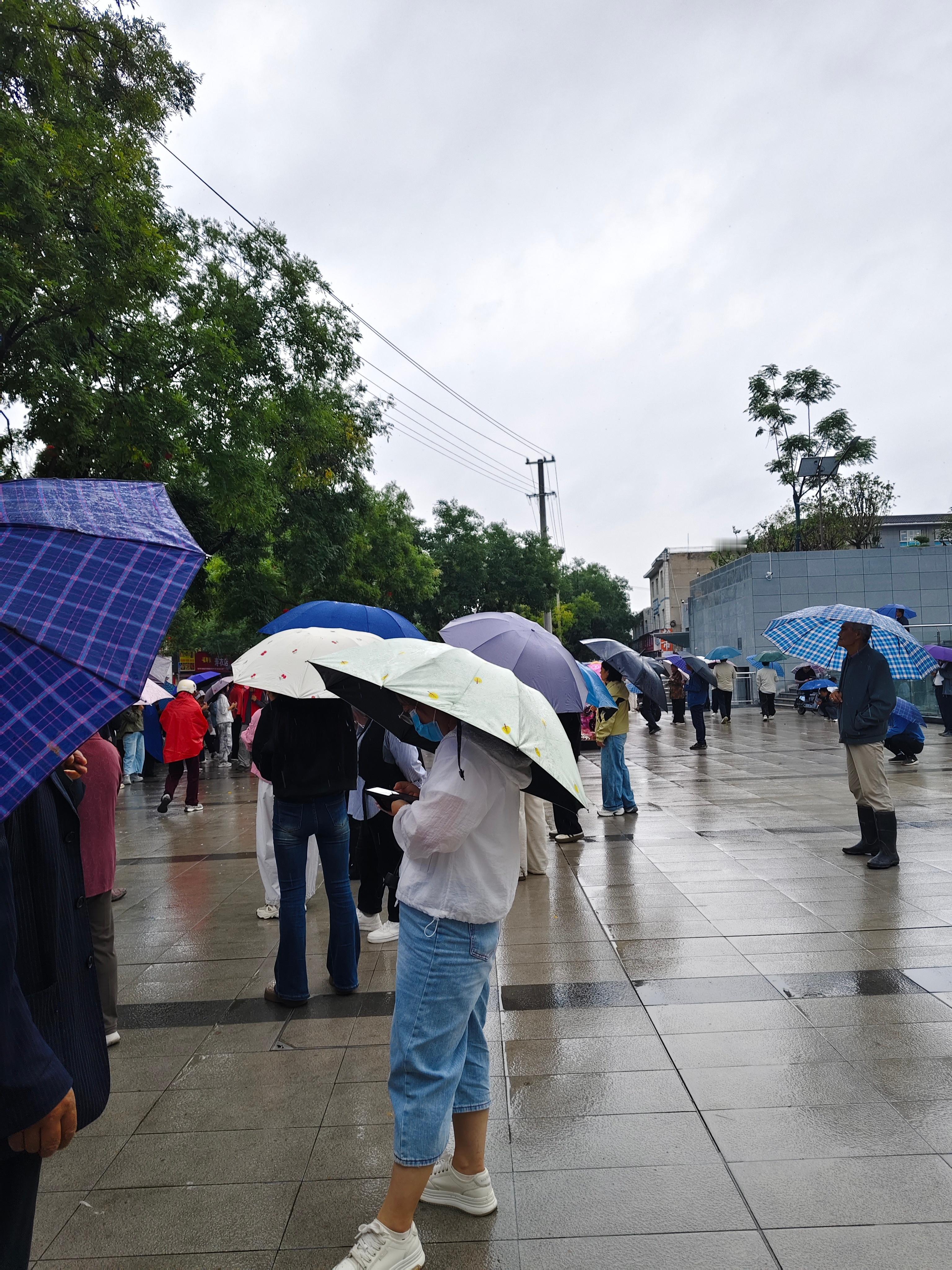 这雨下的人手足无措下雨天下雨天☔ ​​​
