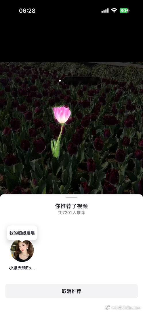 我要哭了我的超级農農 