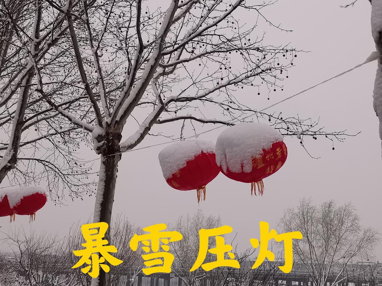 好准！去年八月十五确是阴天，正月十四暴雪一场

八月十五确实就是大阴天，正好上夜