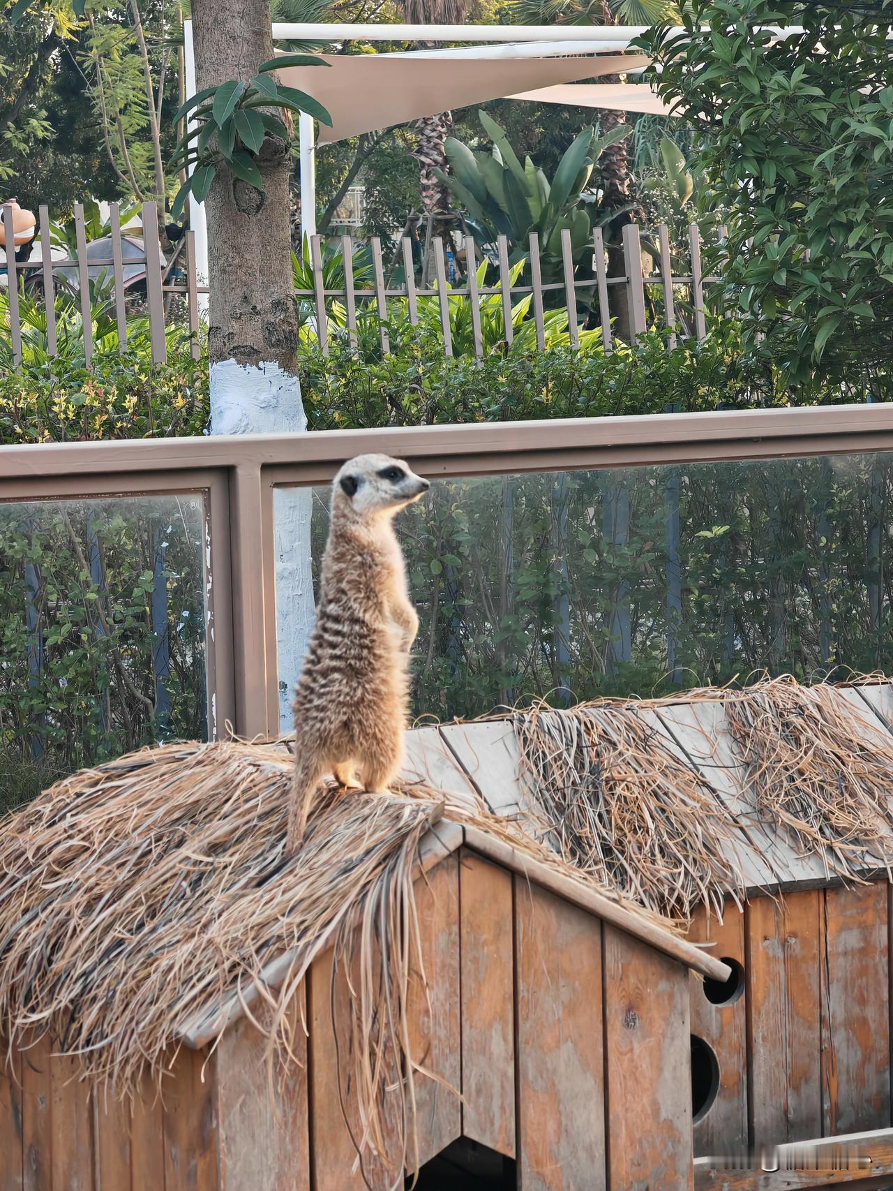 每次在在北湖乐嘉森游乐园可以耍半天。主要周边的草坪，大人可以各种BBQ，小朋友就