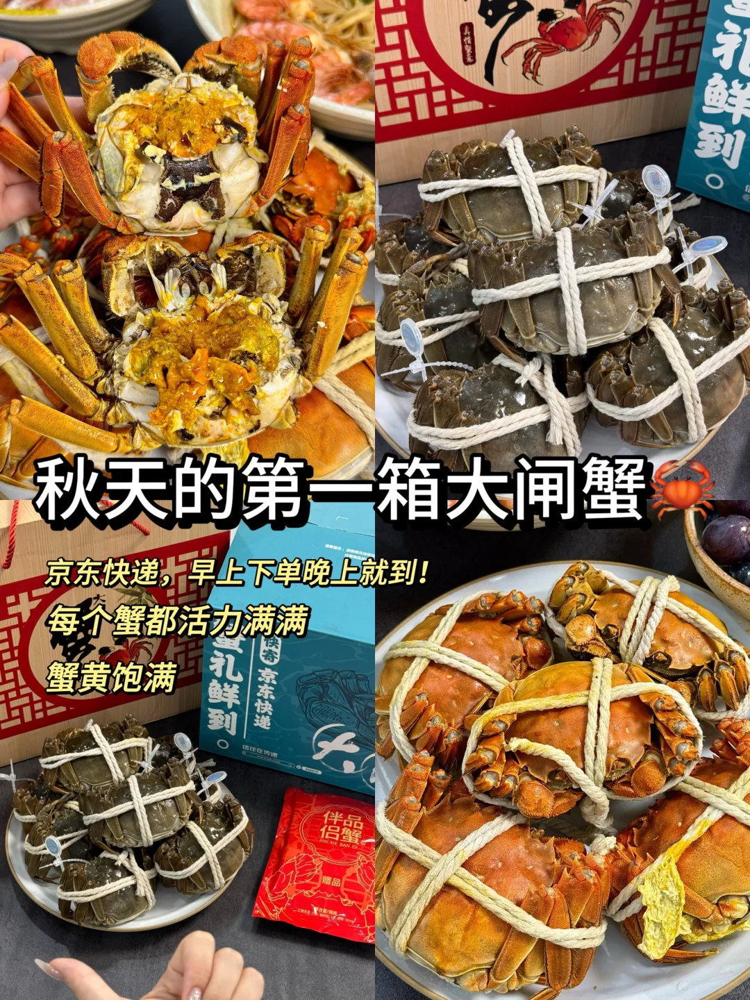 幸福住了！收到了秋天的第一箱大闸蟹🦀️