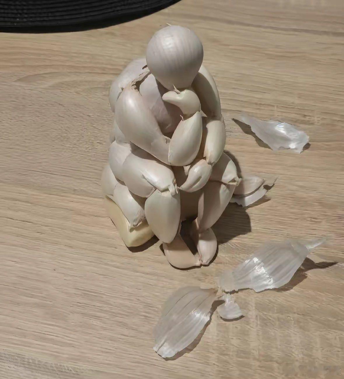 沉思的大蒜 