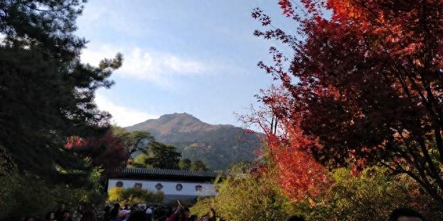 香山论坛二十周年，解析中日交流的现实困境