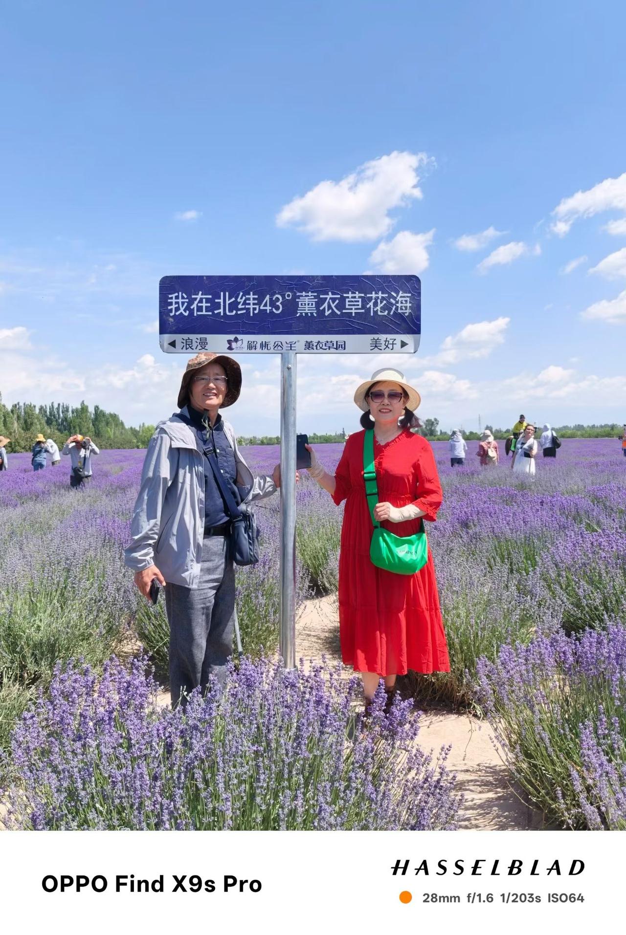 军校同学西北之行注解
西北之行半月多，走遍半个大中国。
夫妻携手前共进，赢得满满