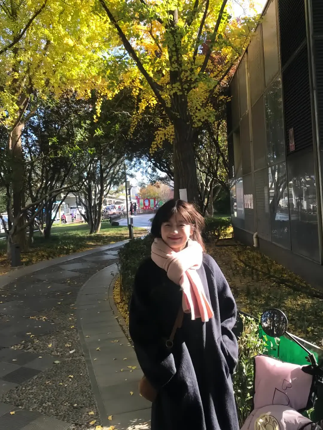 当天气秋凉 当树叶泛黄