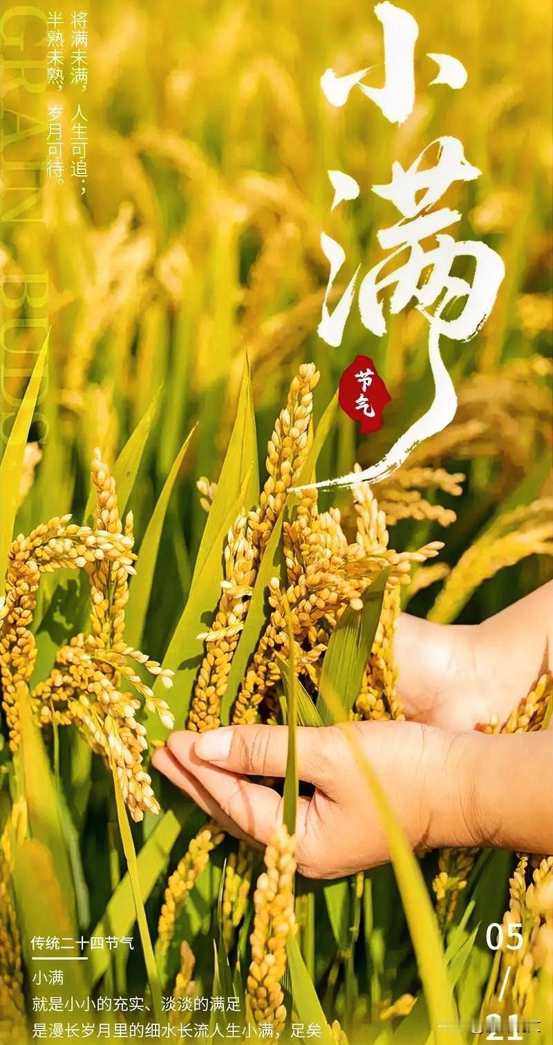 老辈农谚藏玄机！2026小满交节时辰，关乎夏收旱涝
 



“白天小满，热燥少