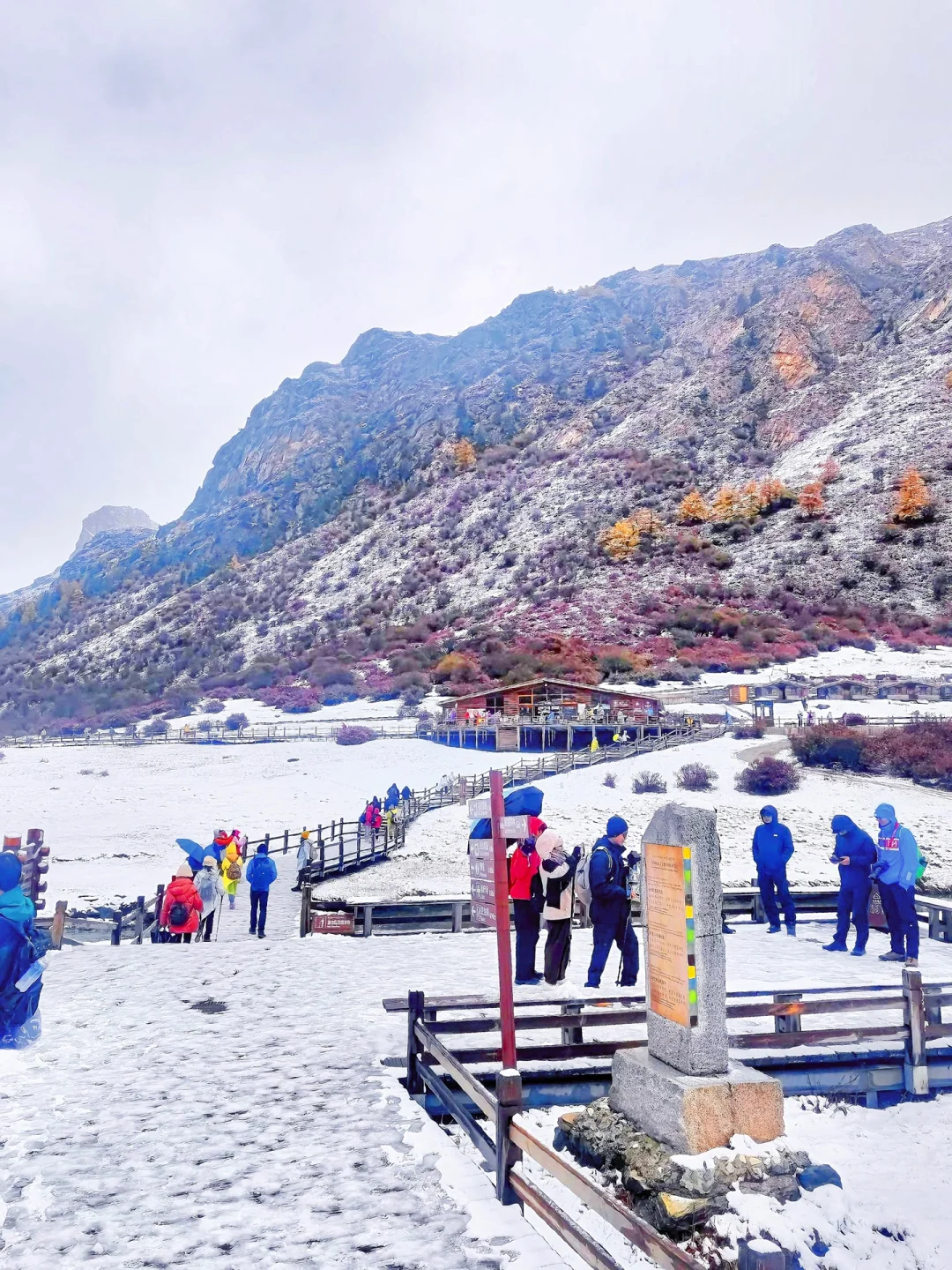 11.25📍稻城亚丁下雪现状，不劝退！！好浪漫！！