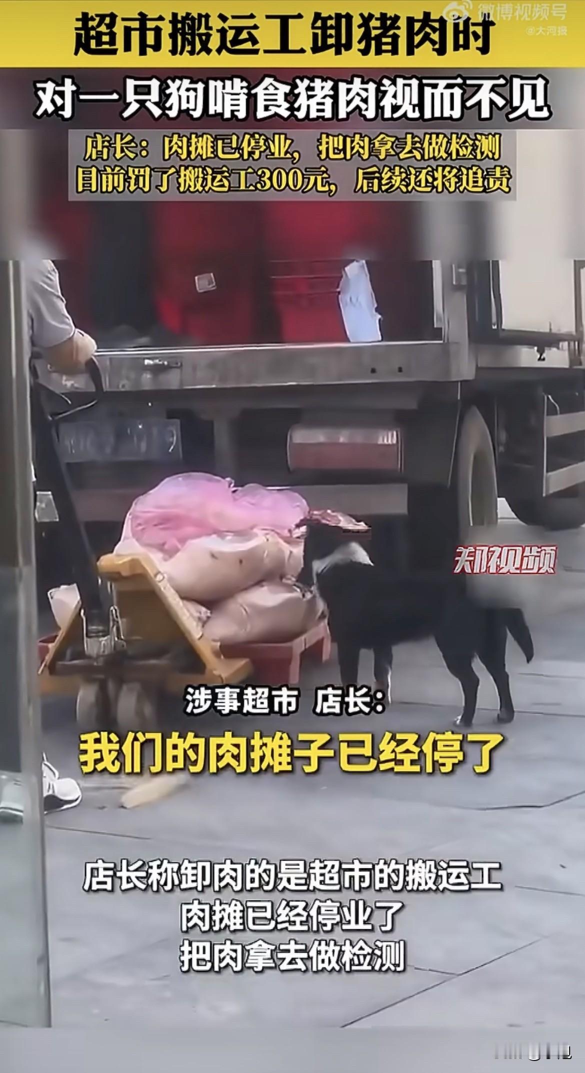 狗在啃肉，人在看戏。

湖北孝昌站前一路某超市门口，5月31日上午。一辆厢式卡车