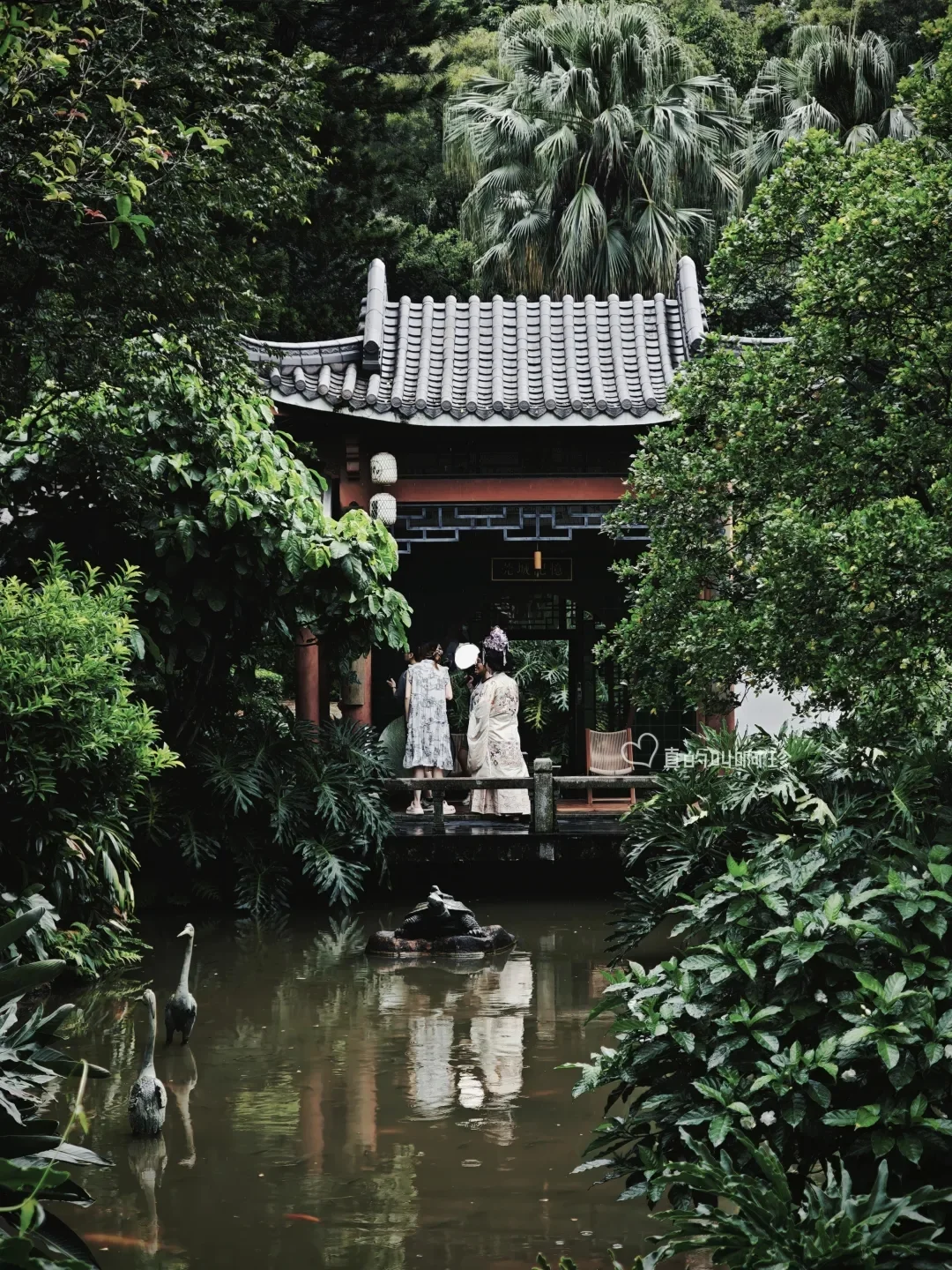 雨天更好拍❗东莞这个免费古风公园美如江南