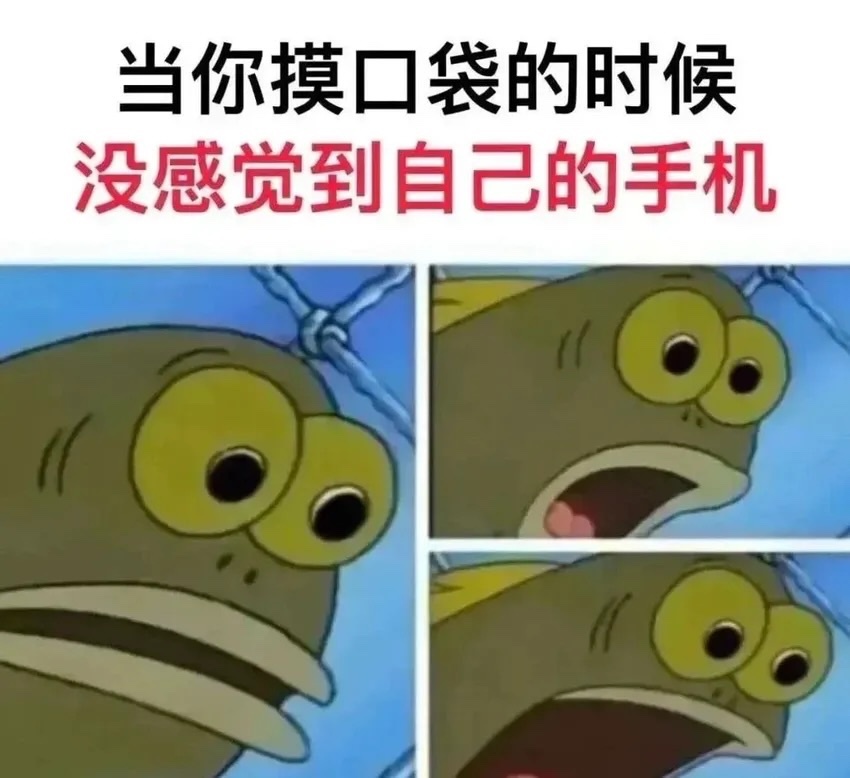 你知道在商场吃完饭后面逛街要付账时候发现裤子和包都没摸到手机的感觉吗