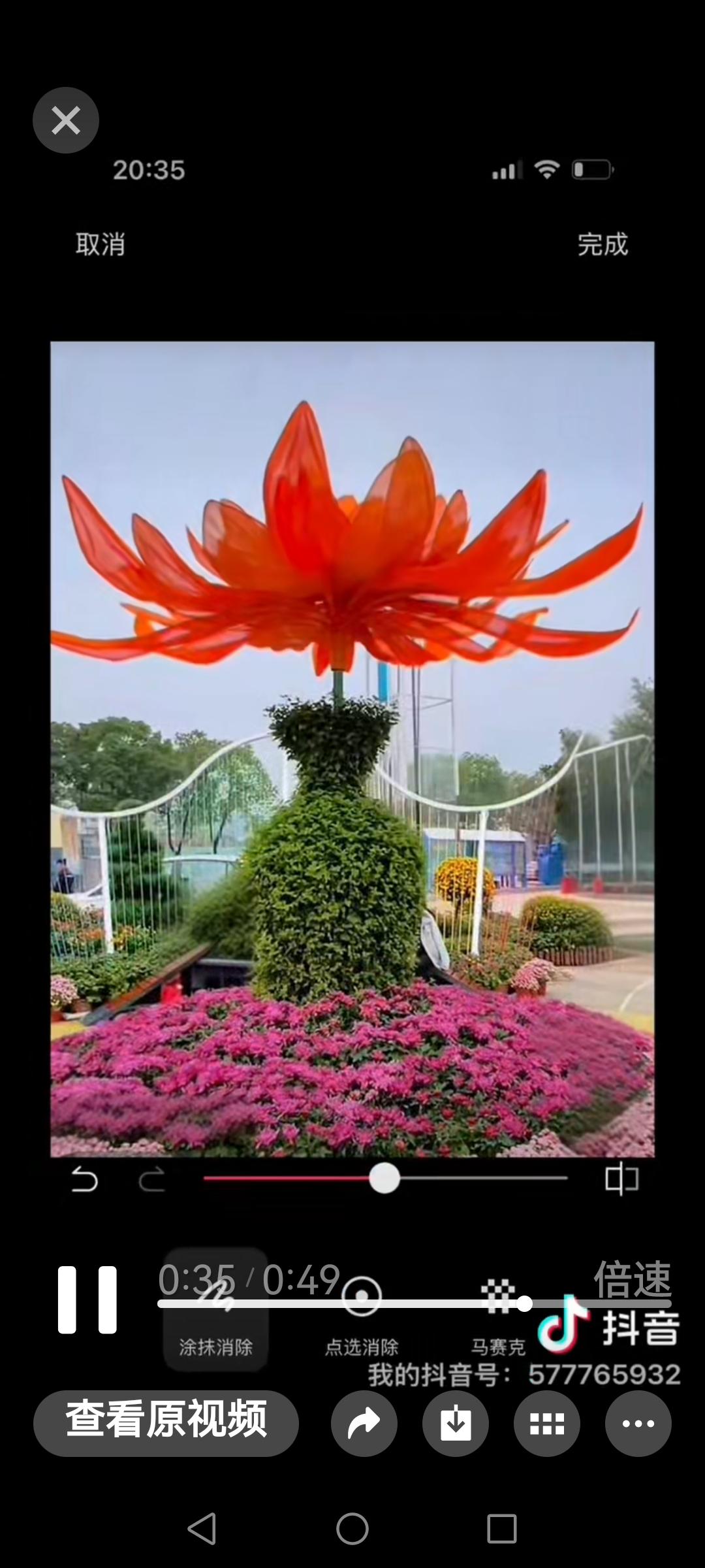 秋日的花总爱以自在的姿态，在各处缀出灵动的美。像谁随手撒了把碎彩，风一吹，透着不