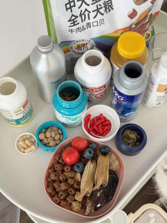 🌟不交智商税！关节补食指南让大狗蹦跳自如