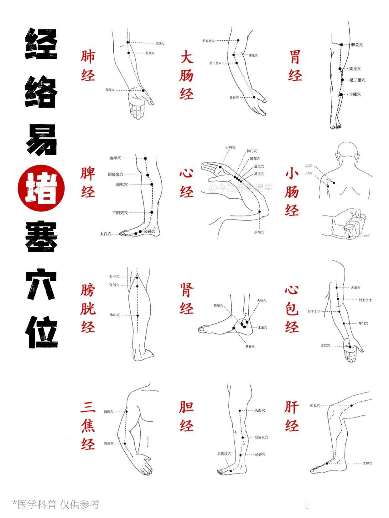 经络易堵塞穴位﻿ ﻿经络疏通﻿ ﻿穴位按摩﻿ 穴位养生﻿ ﻿中医养生﻿ ﻿养生小