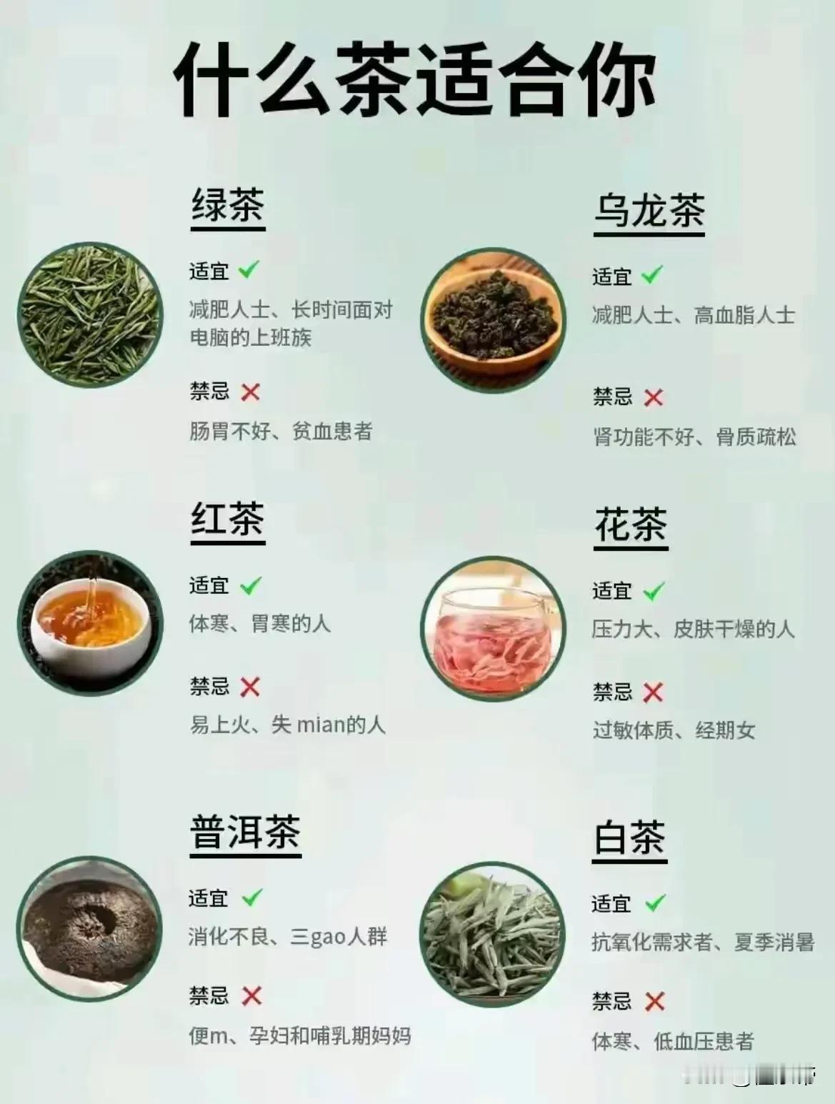 一张图了解你适合什么茶！