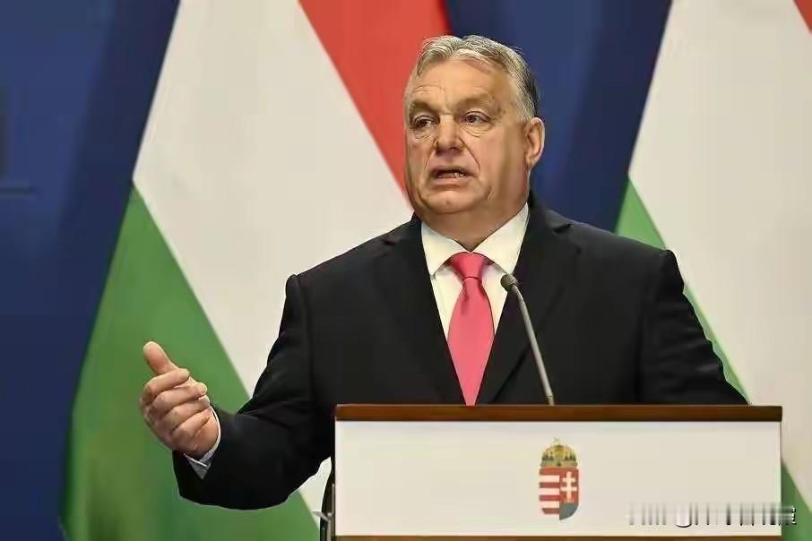 欧尔班：欧盟若动用俄被冻结资产将引发严重问题