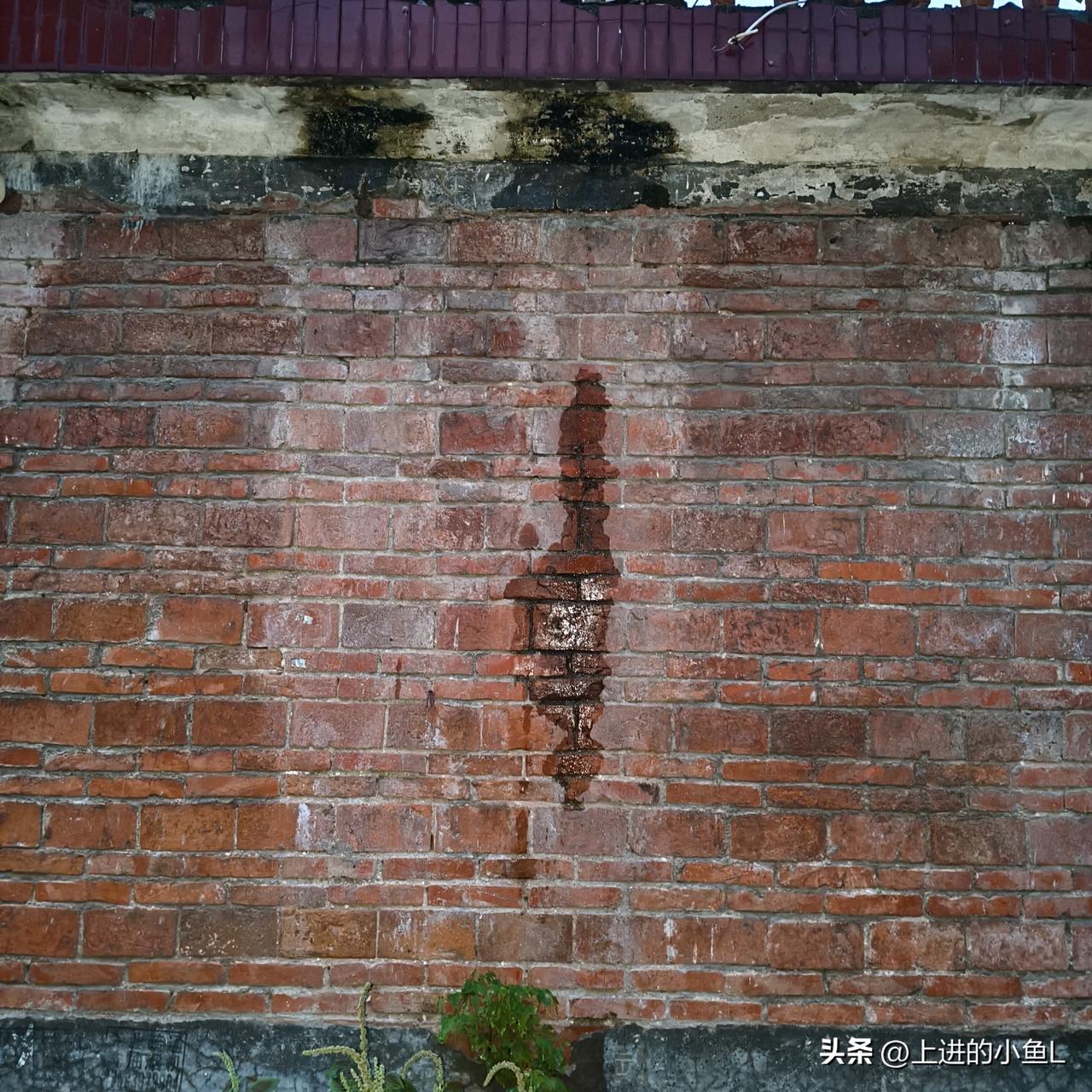 岁月留下的痕迹，红砖墙上的故事。时间久远，下雨渗水