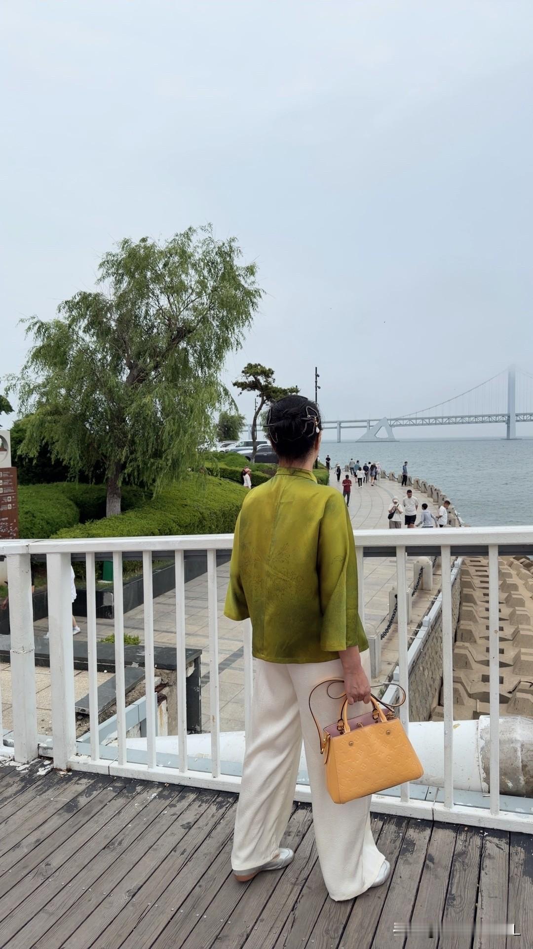连载二：童年的南花园

在南花园生活的日子，是我记忆里最亮的部分。

我到现在都