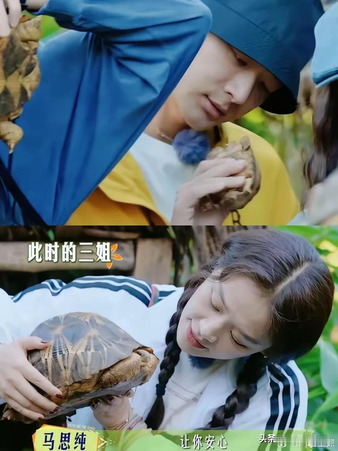 看了这期花儿与少年，发现一个细节，不知大家注意到了吗？​张晚意和马思纯真的不对劲
