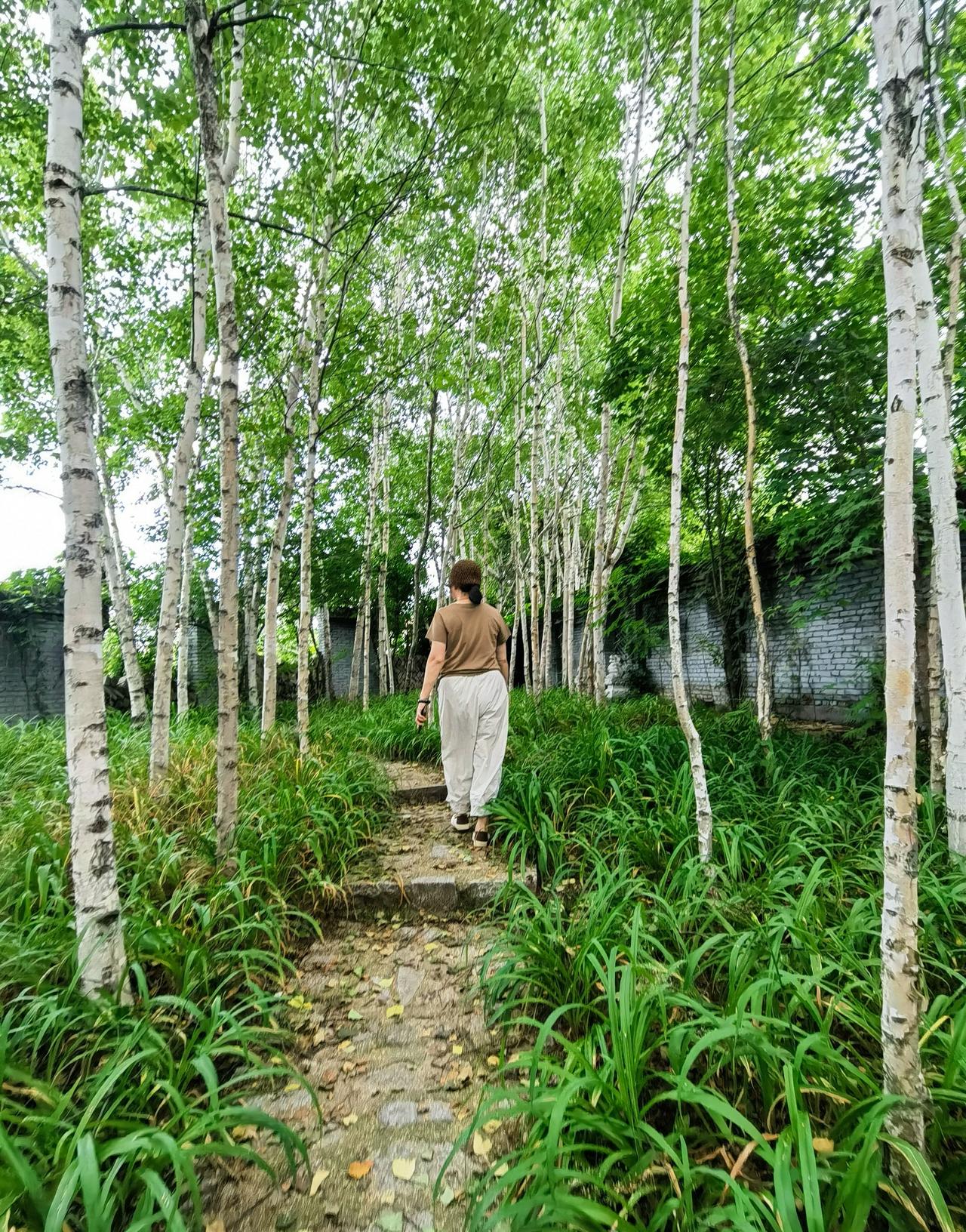 大大的风景，小小的人
