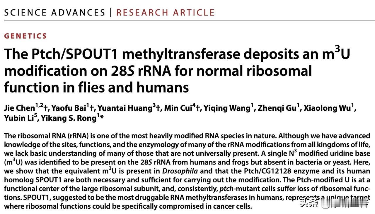 好消息，南华大学衡阳医学院“儿科罕见病”教育部重点实验室在RNA化学修饰及功能研