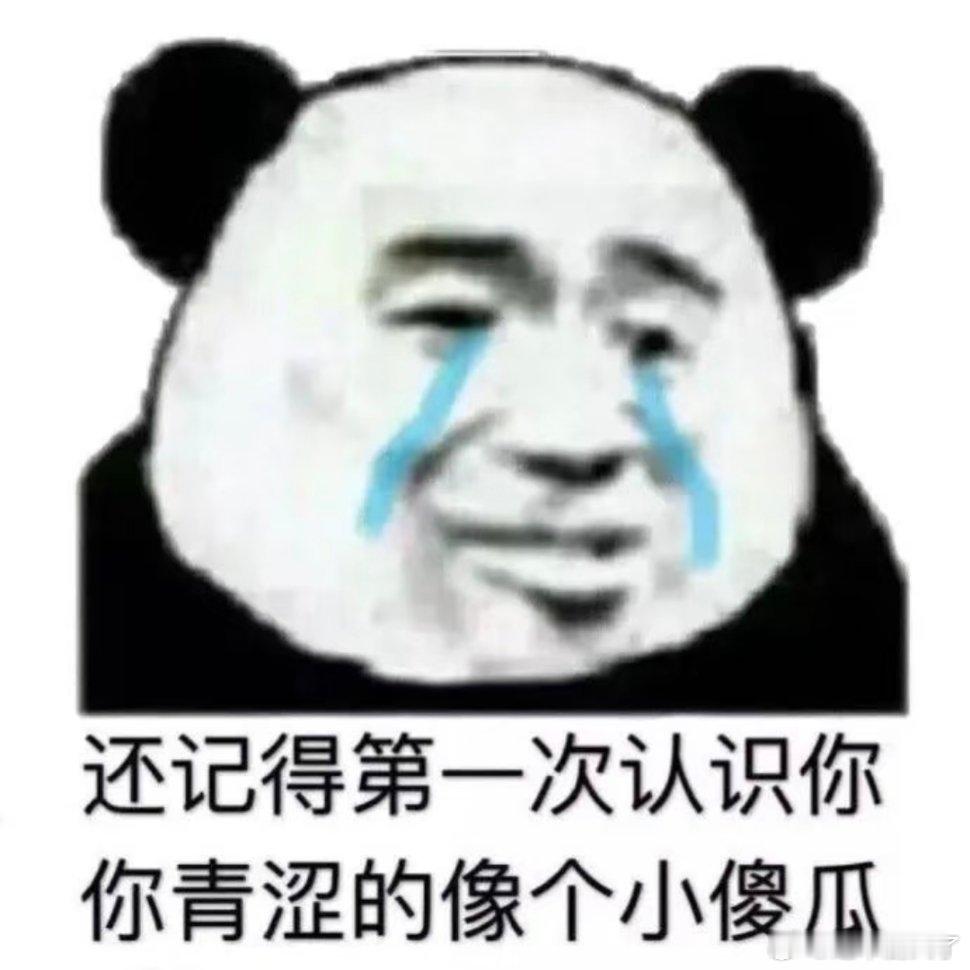 搞笑表情包。一人安利一部动漫动漫点评团