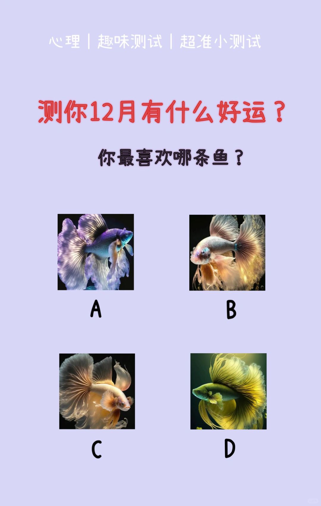 🔥测试｜测你12月 有什么好运？