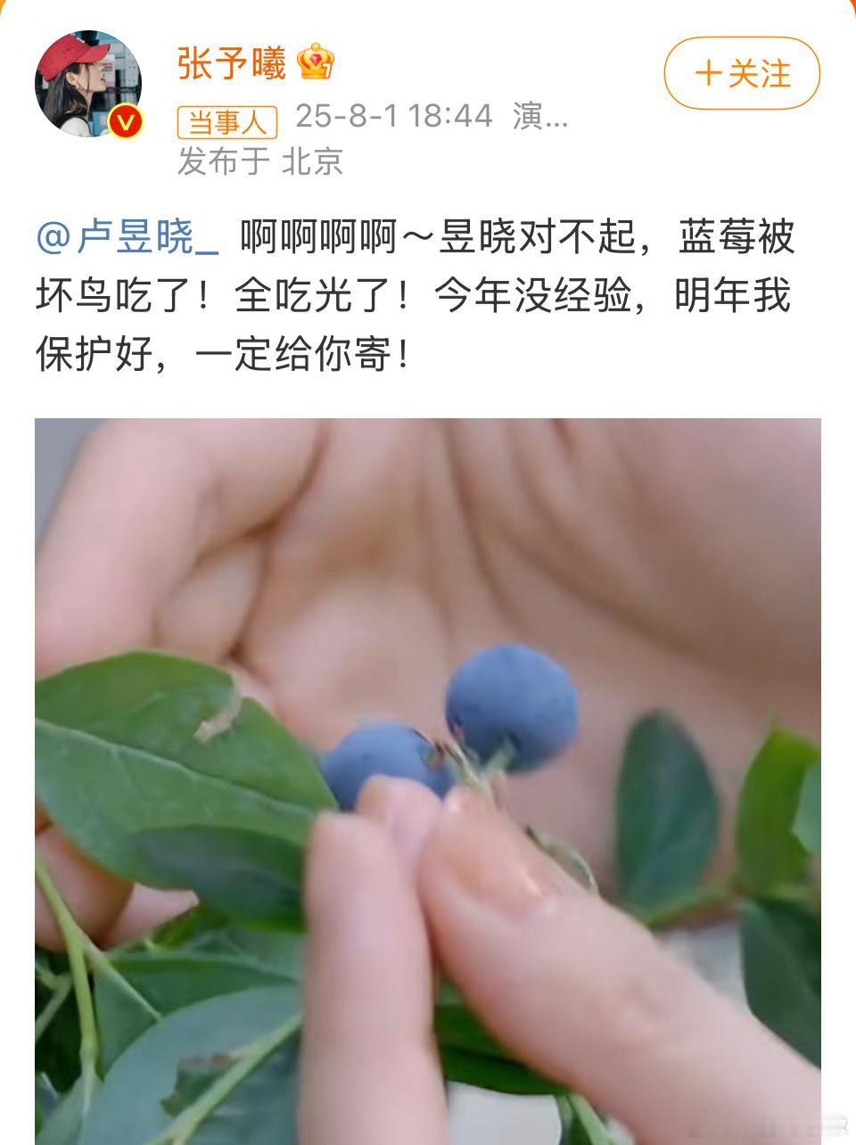 张予曦 卢昱晓对不起小鸟坏！蓝莓好！予曦好！[老师爱你][老师爱你][老师爱你]