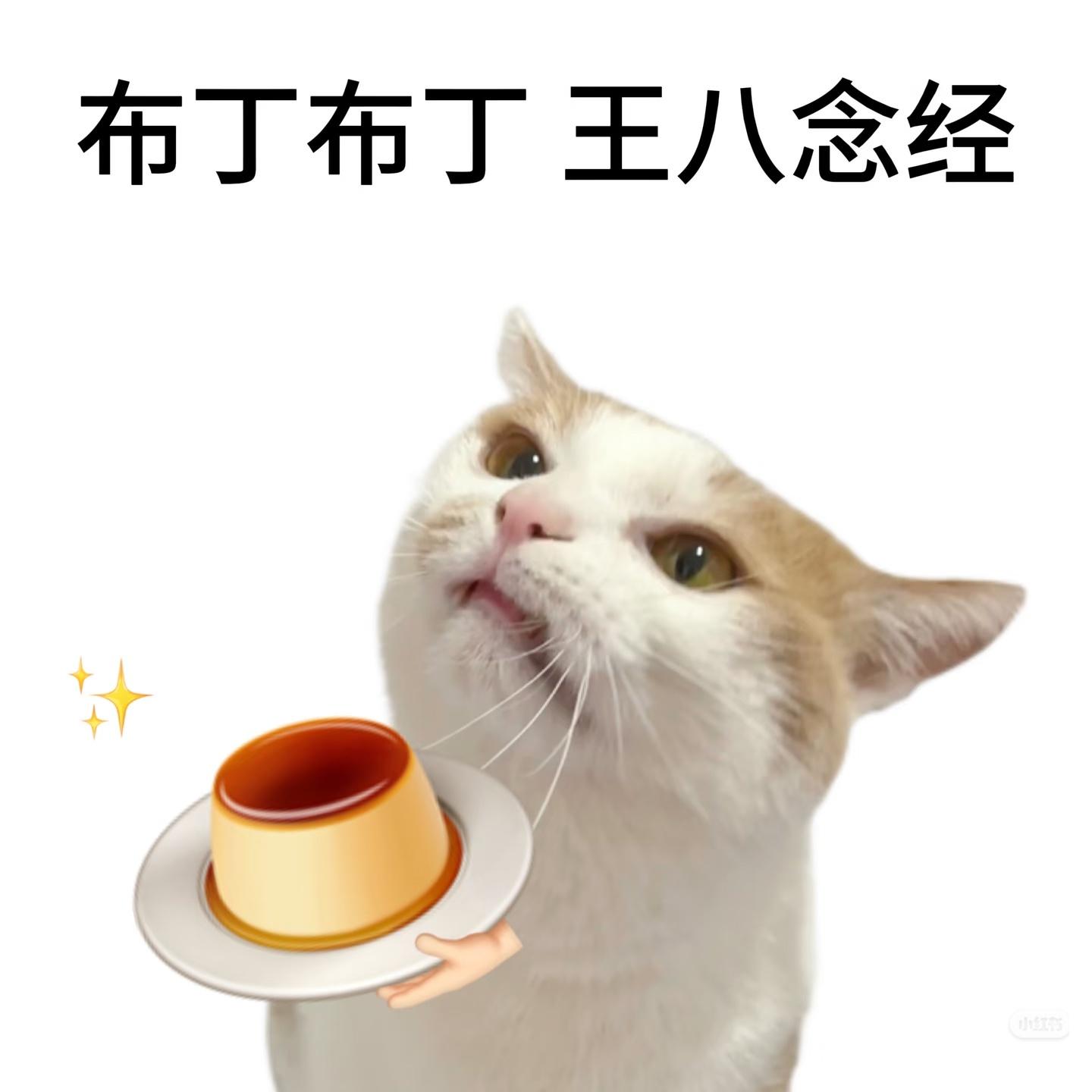 知道为什么不能跟阿姨同坐一条小船吗？因为友谊（有姨）的小船说翻就翻
