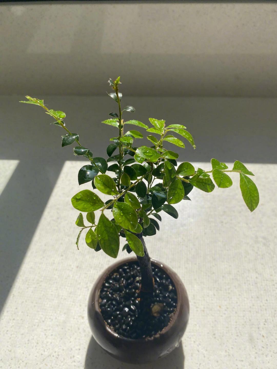 爱这种生活方式[心][心][心]爱这种快乐的日子[心][心][心] ​​​