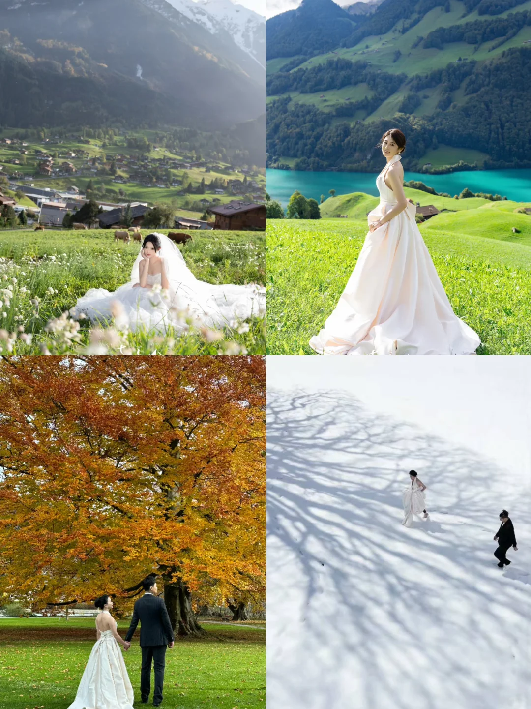 给大家介绍一下 这是我的四季婚纱照