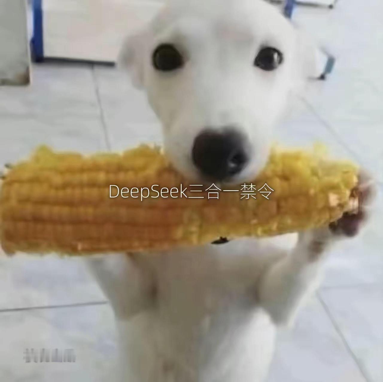 三合一禁令。DeepSeek DeepSeek禁令