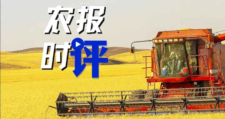 14298亿斤！是由一粒一粒聚集而成，我们最要感谢农民！