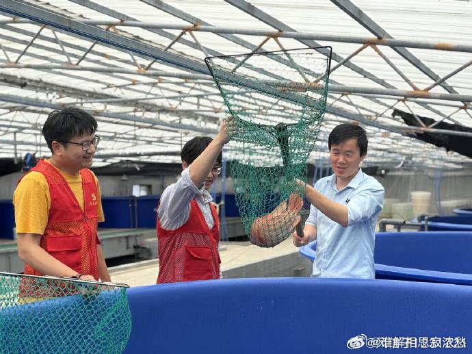 临海深耕渔业以一尾鲷鱼书写共富答卷临海桃渚依托滨海独特水土，以党建引领、科技赋能
