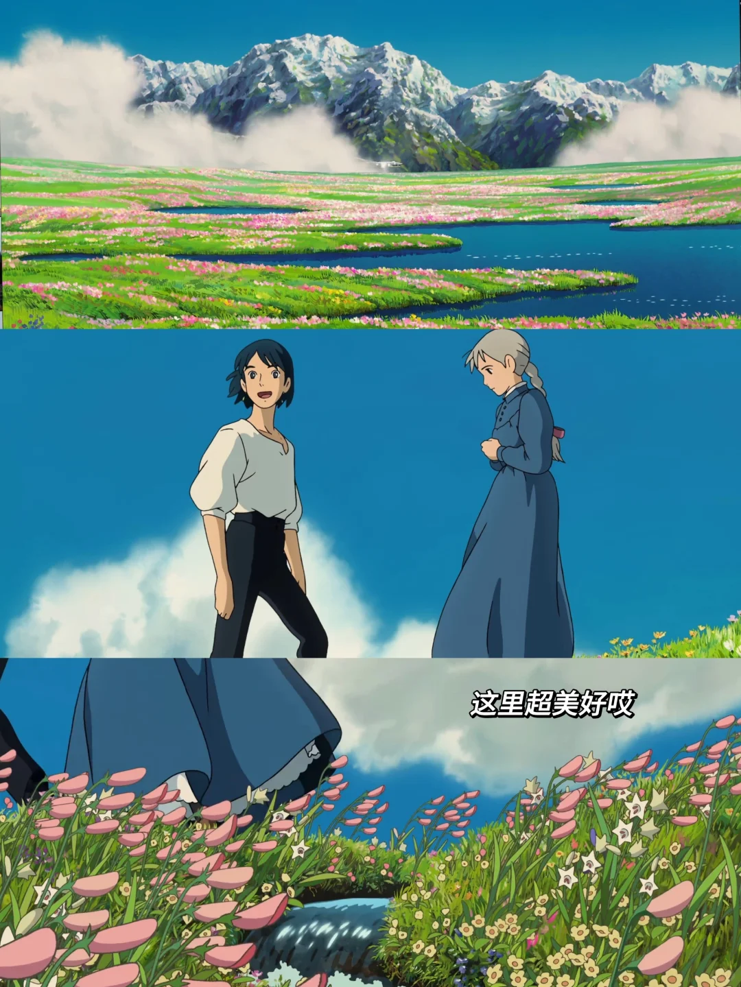 哈尔的故事是我做了很多年的梦🌙