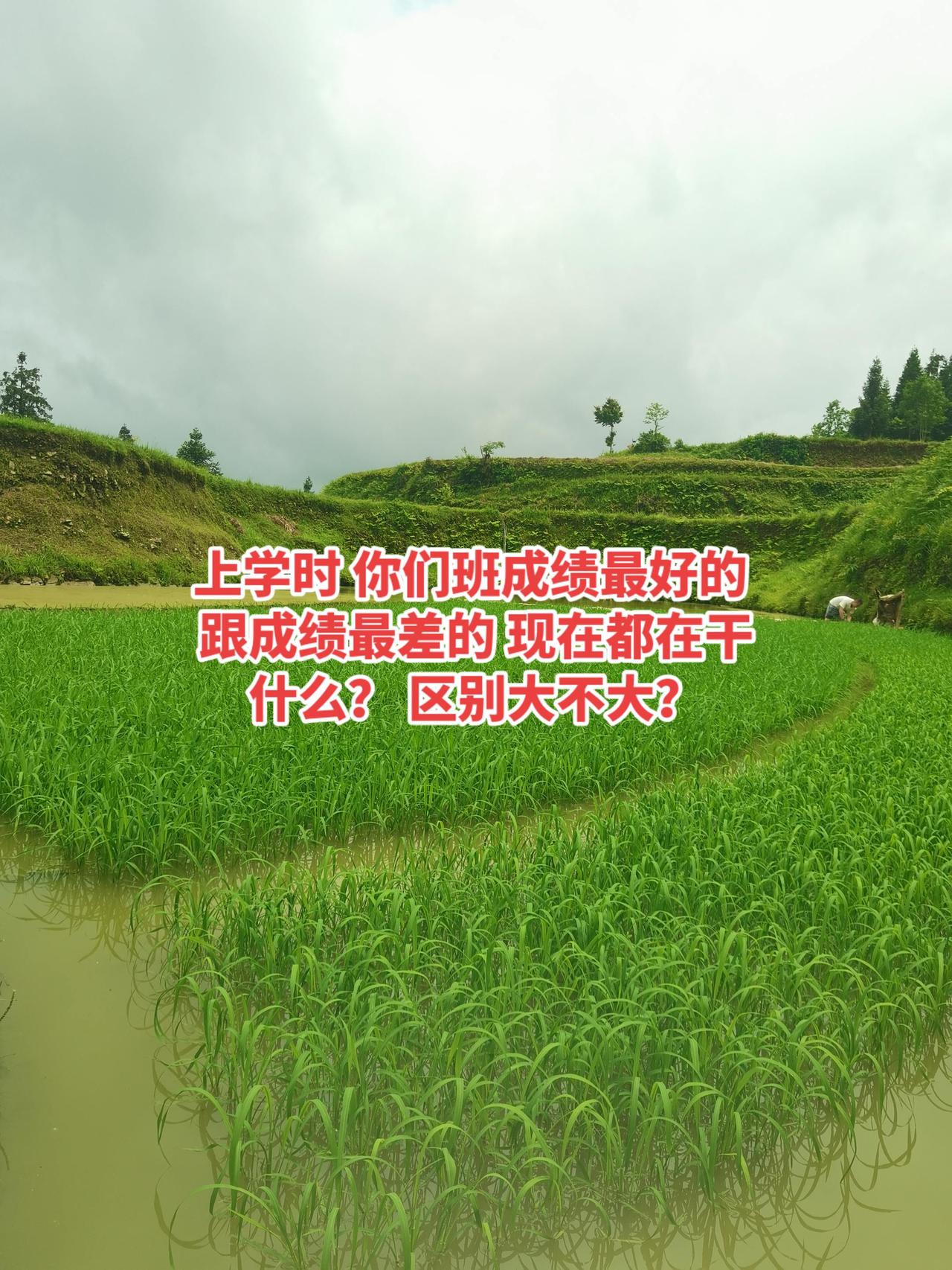 上学时的成绩真的能决定一个人的命运吗？上学时 你们班成绩最好的 跟成绩最差的 现