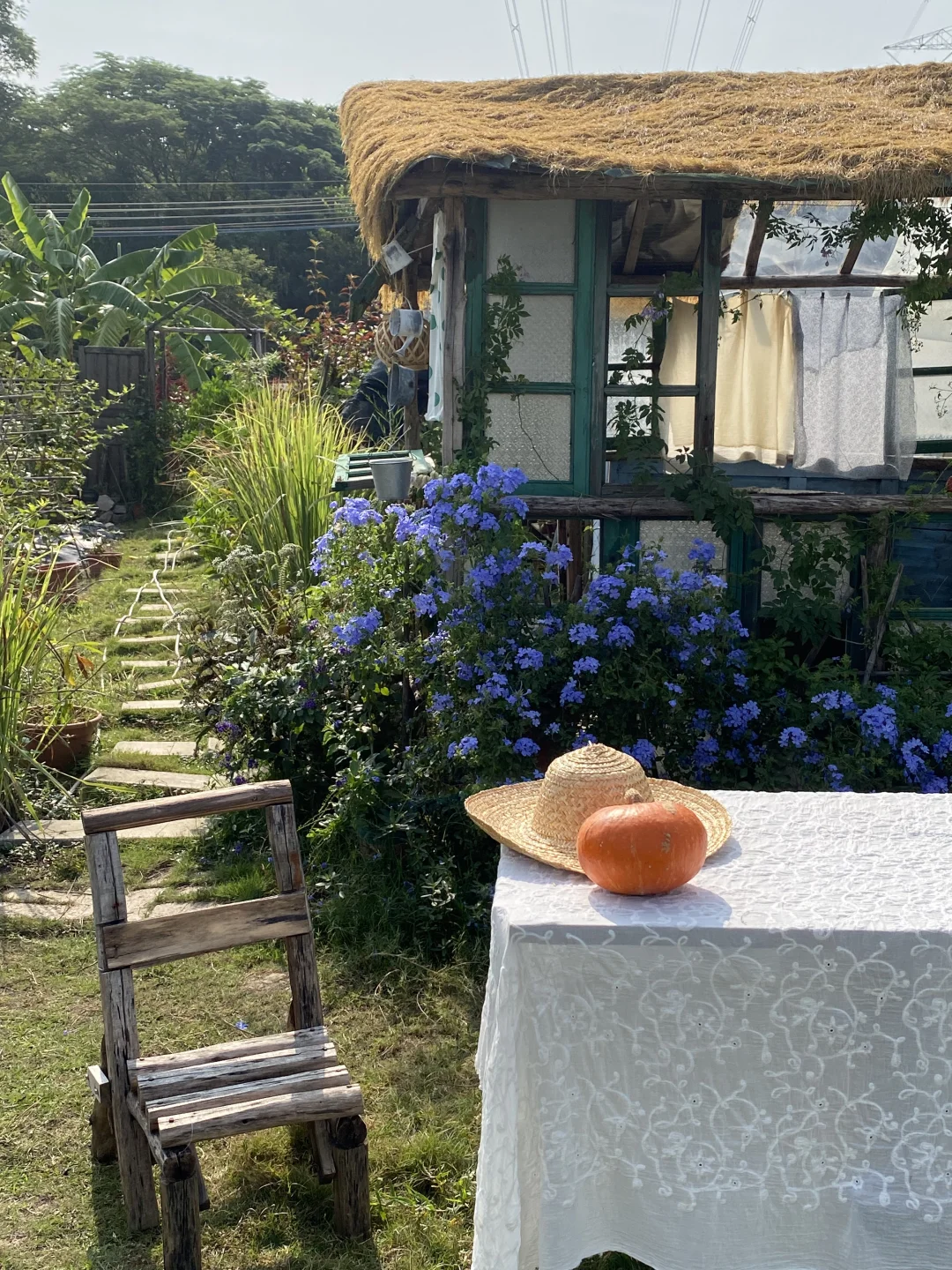 在广州当农场主之「如何找地」👩🏻‍🌾
