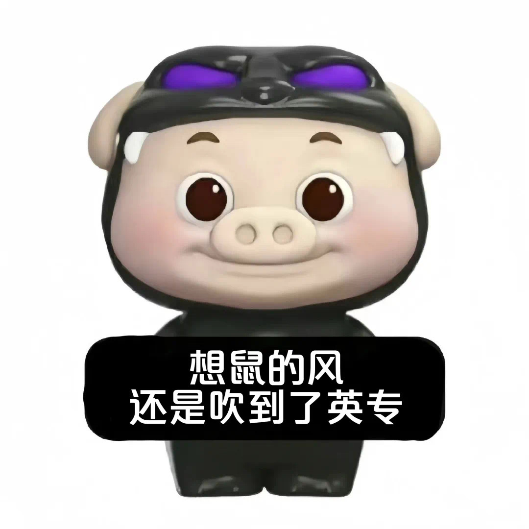 英专生猪猪侠表情包 ​​​