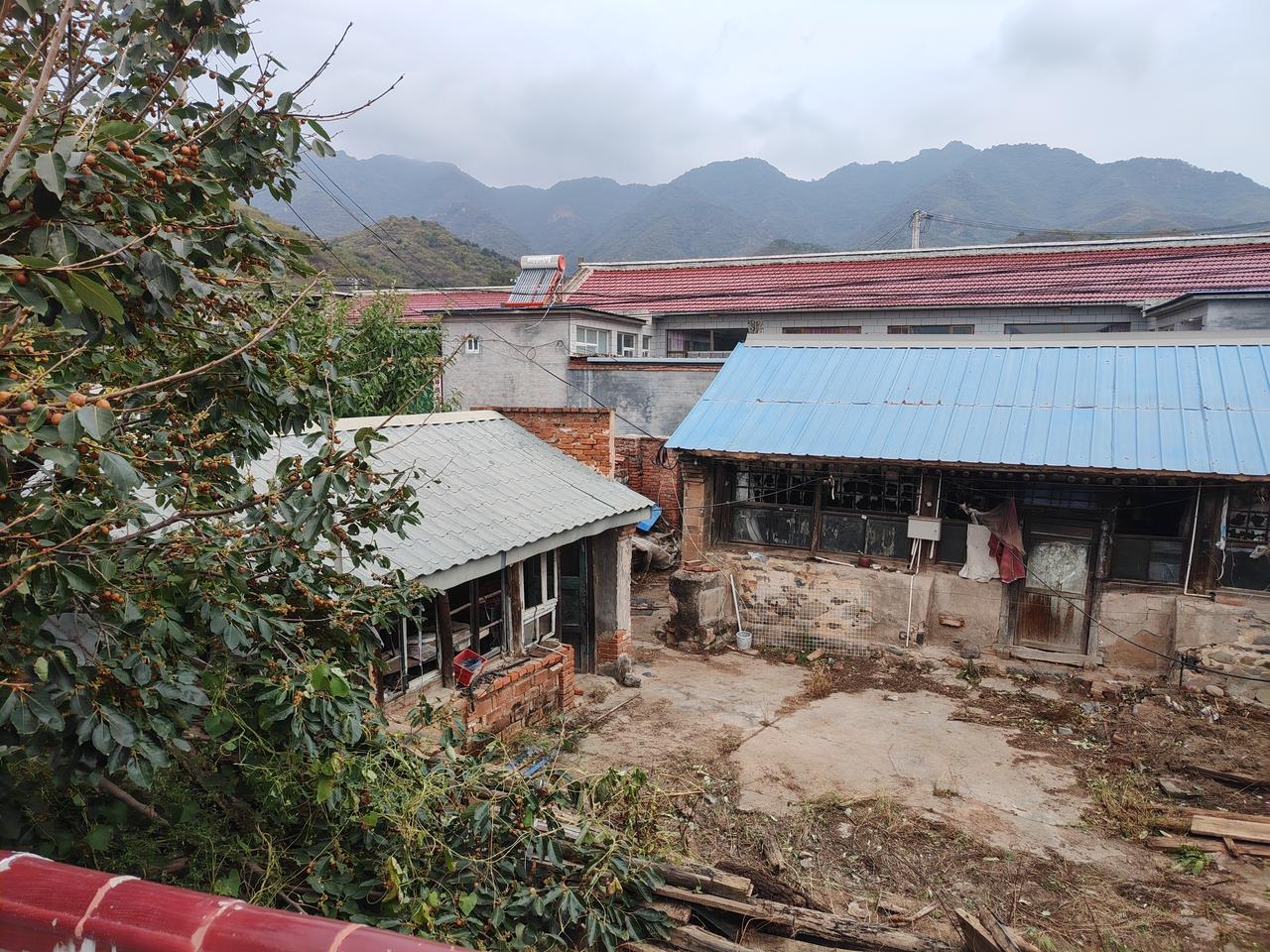 鱼的记忆

鱼游过水域，不留痕迹。它说：“我过而不留，故心无挂碍。”它不执过往，