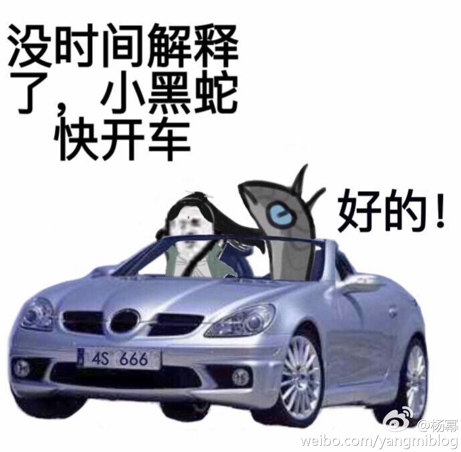 杨幂的带货领域已经到达宠物圈了吗又想起三生的“小黑蛇 我们走”梗粉丝买了杨幂摸过