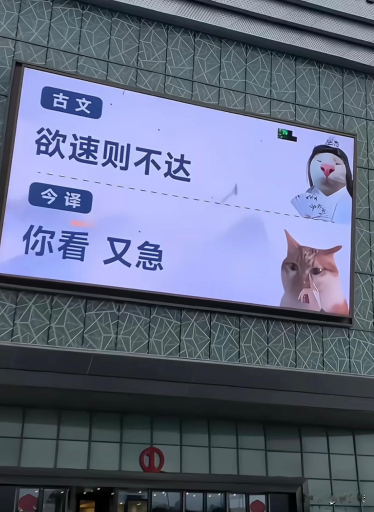 中文的博大精深体现出来了